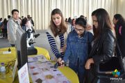 alimentaco2019-2