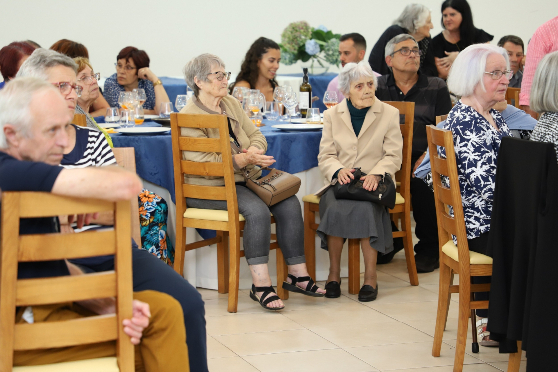 Comemoracao Dia Internacional do Idoso na Madeira Velha_2022_253