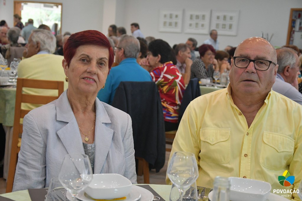 Dia Internacional do Idoso_86