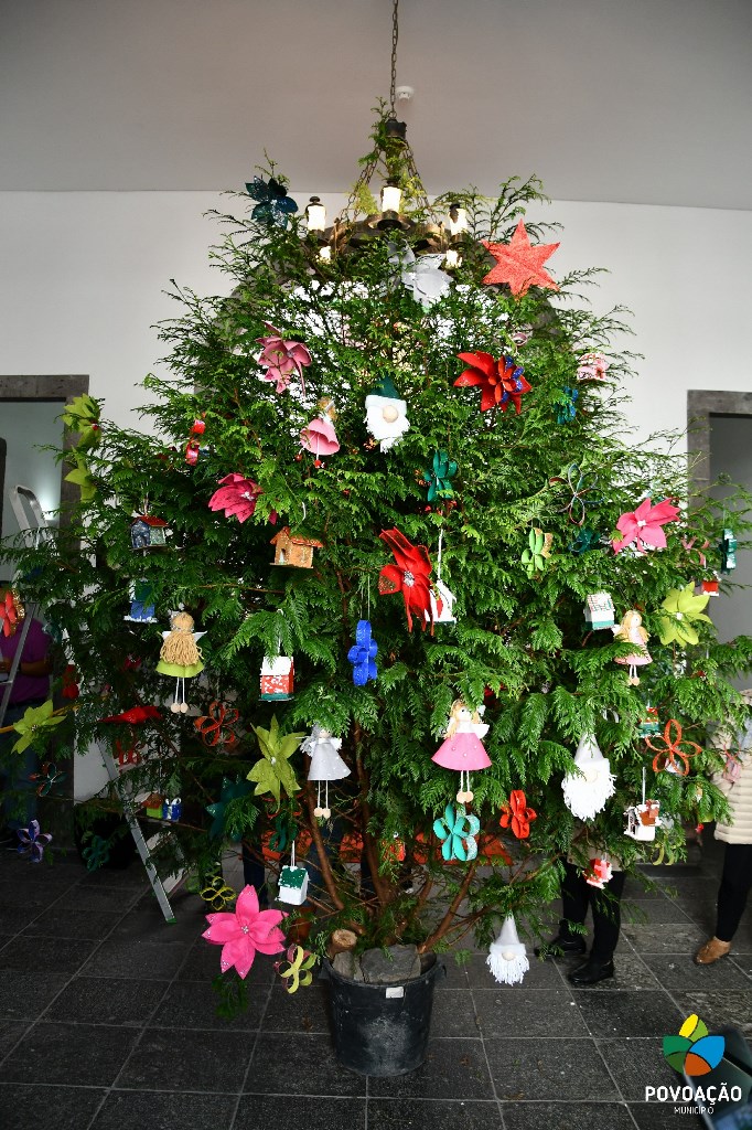 Idosos Ativos decoram árvore de Natal da CMP_2023_11