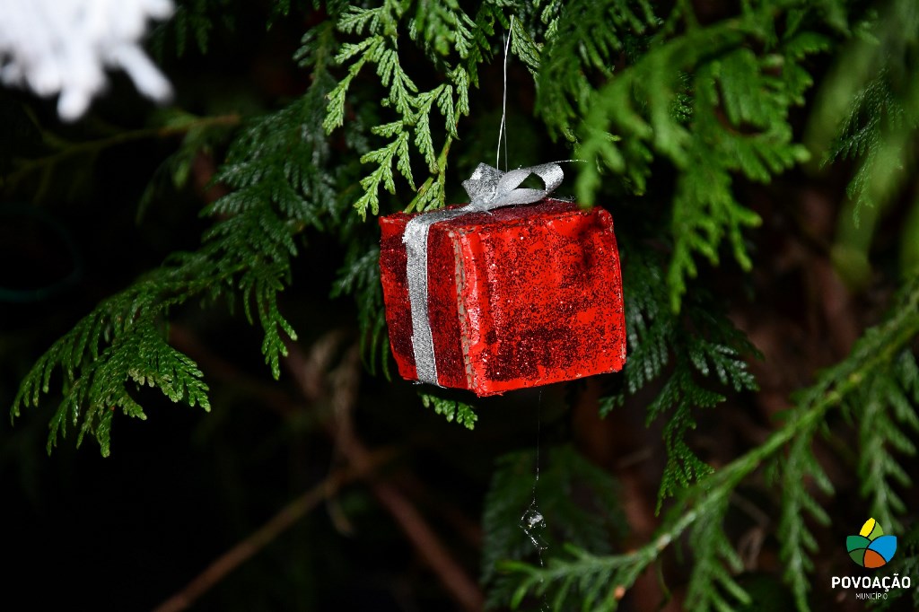 Idosos Ativos decoram árvore de Natal da CMP_2023_18