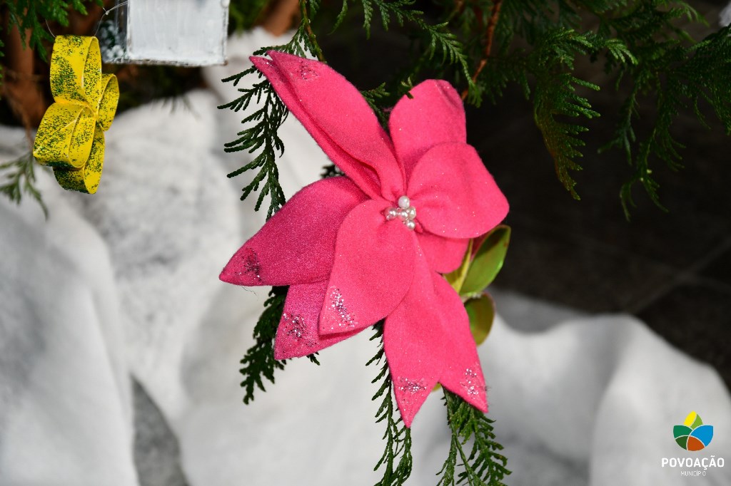 Idosos Ativos decoram árvore de Natal da CMP_2023_2