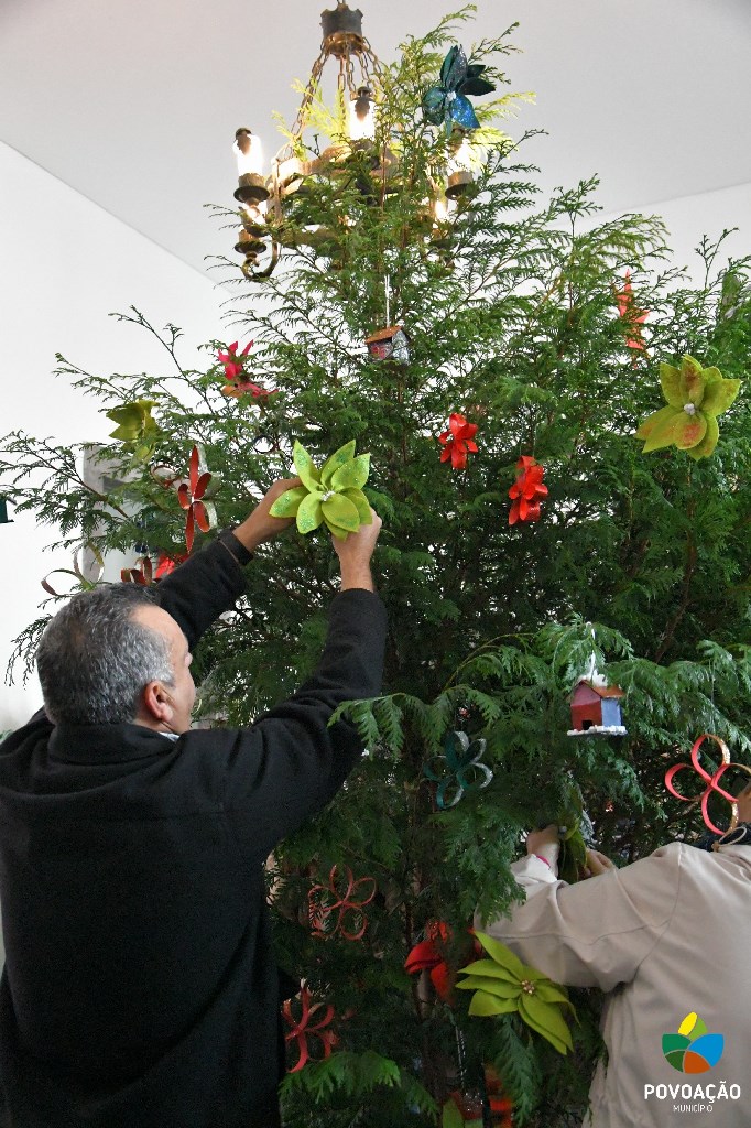 Idosos Ativos decoram árvore de Natal da CMP_2023_7