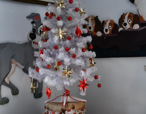 Decoração de Natal da Biblioteca