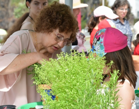 Comemoracao do Dia dos Avos Na Povoacao_2023_80