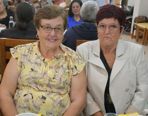 Dia Internacional do Idoso_79