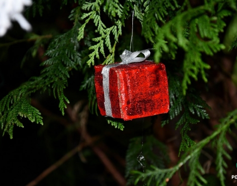 Idosos Ativos decoram árvore de Natal da CMP_2023_18