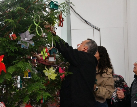 Idosos Ativos decoram árvore de Natal da CMP_2023_25