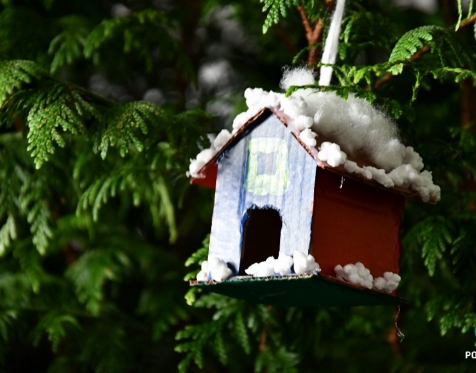 Idosos Ativos decoram árvore de Natal da CMP_2023_29