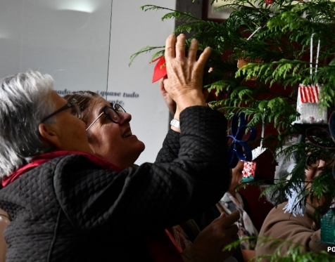 Idosos Ativos decoram árvore de Natal da CMP_2023_34