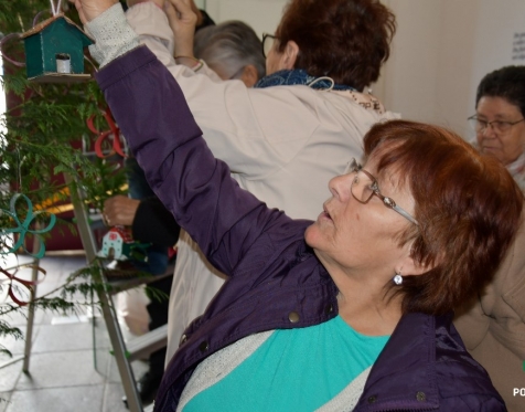 Idosos Ativos decoram árvore de Natal da CMP_2023_35