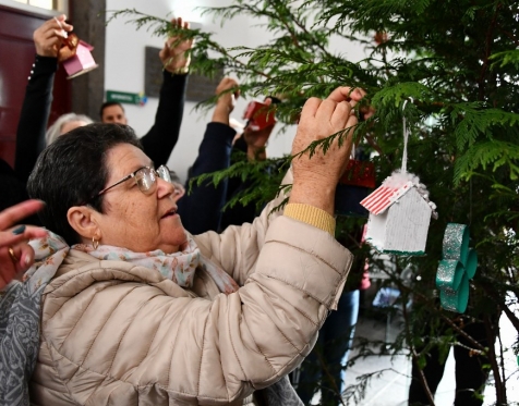 Idosos Ativos decoram árvore de Natal da CMP_2023_39