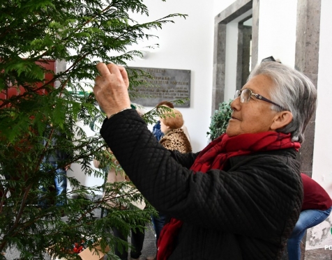 Idosos Ativos decoram árvore de Natal da CMP_2023_47