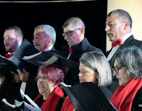Inauguração Luzes e presépio no Faial da Terra_2023_31